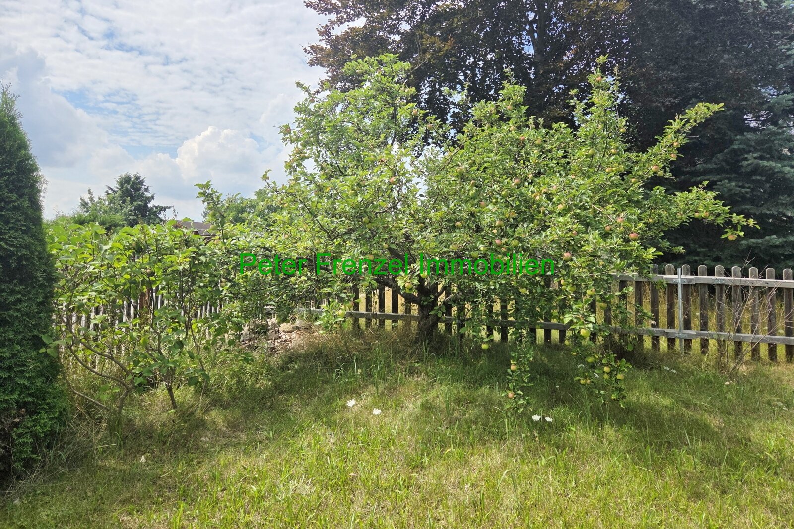 Zweifamilienhaus - mit Gartengrundstück und Nebengelass