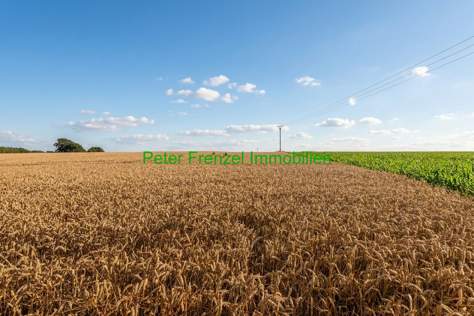 Fernblick Fernblick