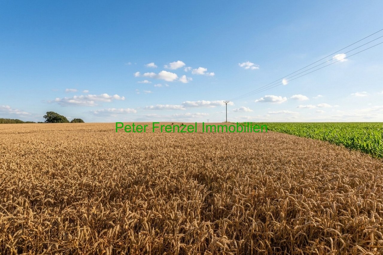 Fernblick Fernblick